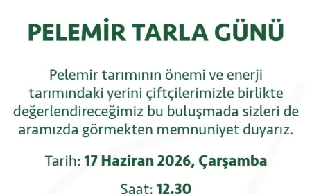 Eskişehir Alpu’da Yerli ve Milli Pelemir Bitkisinin Tanıtımı İçin Tarla Günü Düzenlenecek