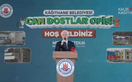 İstanbul Valisi Davut Gül: “39 İlçede Aynı Kararlılıkla Çalışıldığında Bu Sorun Büyük Ölçüde Geride Kalacak”