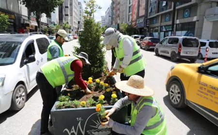 Van Büyükşehir Belediyesi Kazım Karabekir Caddesi’ne 17 Bin Mevsimlik Çiçek Dikerek Kent Estetiğini Güçlendirdi