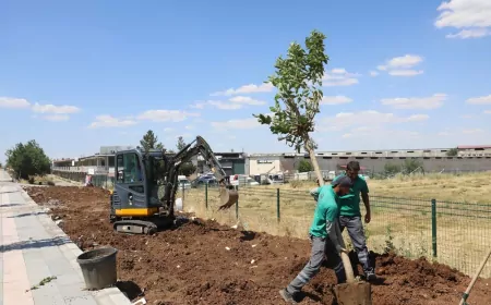 Diyarbakır Büyükşehir Belediyesi Mardin Karayolu Güzergâhını 23 Bin Yeni Bitkiyle Yeşil Koridora Dönüştürüyor