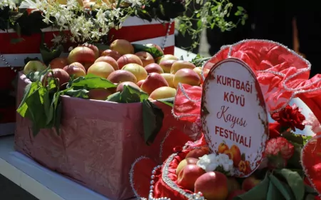 Hatay’da Geleneksel Kurtbağı Kayısı Festivali Yoğun Katılımla Tamamlandı