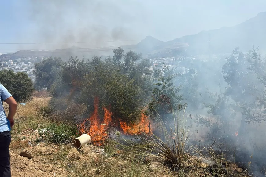 Bodrum Turgutreis’te Makilik Alanda Çıkan Yangında Yaklaşık 1000 Metrekarelik Alan Zarar Gördü