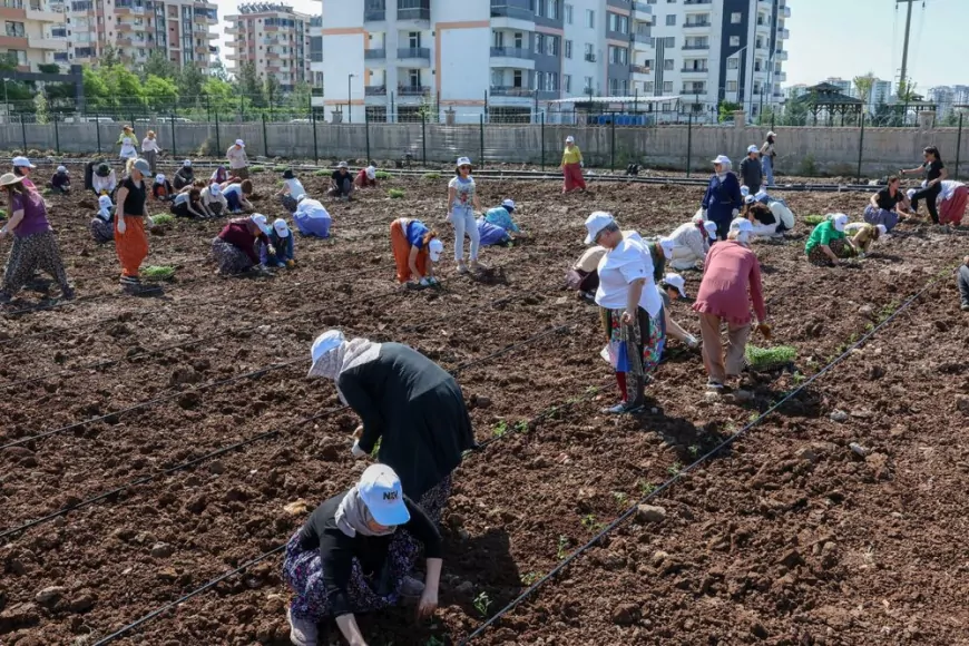 Diyarbakır Büyükşehir Belediyesi Eşbaşkanı Serra Bucak: “Kadınların üretimdeki rolünü güçlendirmeyi hedefliyoruz