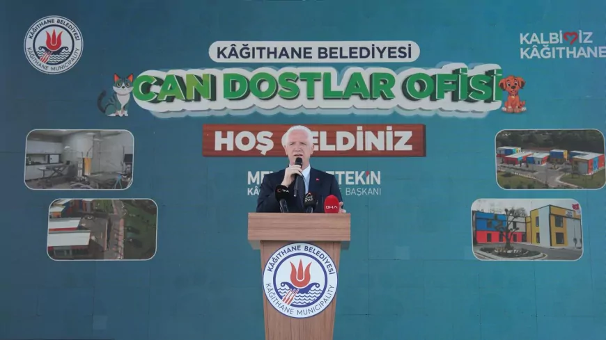 İstanbul Valisi Davut Gül: “39 İlçede Aynı Kararlılıkla Çalışıldığında Bu Sorun Büyük Ölçüde Geride Kalacak”