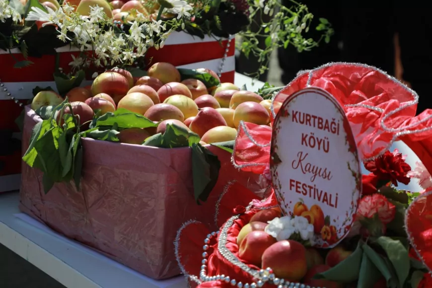 Hatay’da Geleneksel Kurtbağı Kayısı Festivali Yoğun Katılımla Tamamlandı