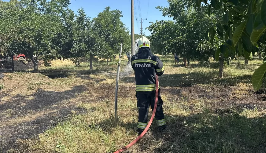 Menteşe Yenice Mahallesi'nde ot yangını 1,5 dönümlük alana yayıldı, meyve ağaçları kısmen zarar gördü