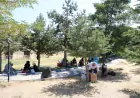 Van Büyükşehir Belediyesi yaşlı bireyleri Van Gölü kıyısında doğayla buluşturdu