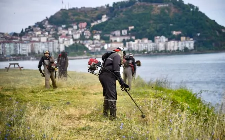 Giresun Belediyesi Sahil Bandında Ot Biçme Çalışmalarını Yoğunlaştırarak Çevre Düzenlemesini Aralıksız Sürdürüyor