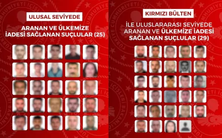 Uluslararası ve Ulusal Düzeyde Aranan 54 Suçlu Yakalanarak Türkiye’ye İade Edildi