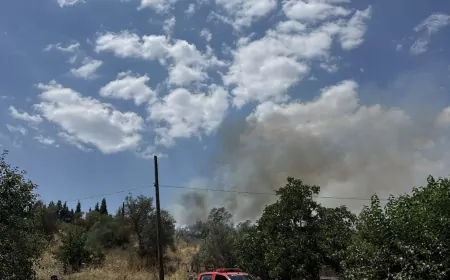 Bodrum Müskebi Mahallesi'nde Kız Yurdu Şantiyesindeki Konteyner Yangını Makilik Alana Sıçradı