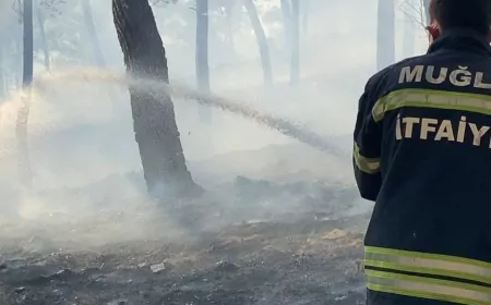 Ortaca Gölbaşı Mahallesi'ndeki Ormanlık Alanda Çıkan Ot Yangınına Ekiplerin Müdahalesi Sürüyor