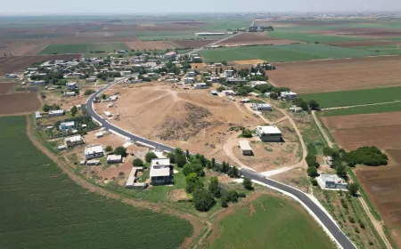 Şanlıurfa Büyükşehir Belediye Başkanı Mehmet Kasım Gülpınar: “Harran ile Akçakale arasındaki ulaşım güçlendirildi”