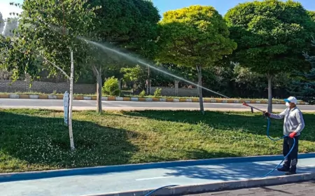 Van Büyükşehir Belediyesi Kent Genelinde Yaz Boyunca Haşereyle Mücadele Çalışmalarını Sürdürüyor