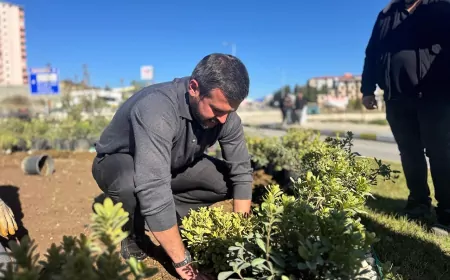 Karabük Belediye Başkanı Özkan Çetinkaya: “Karabük’ün yeşil kimliğini koruyarak daha da güçlendirmeye kararlılıkla devam edeceğiz”