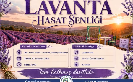 Muğla Büyükşehir Belediyesi Lavanta Hasat Şenliği 30 Temmuz'da Koku Vadisi'nde Ziyaretçilerini Ağırlayacak