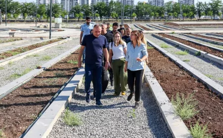 Diyarbakır Büyükşehir Belediyesi Eşbaşkanı Serra Bucak ekolojik üretim ve sürdürülebilir tarım projelerini yerinde inceledi