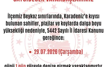 Beykoz Karadeniz Sahillerinde Yüksek Dalga Riski Nedeniyle Denize Girmek 1 Gün Süreyle Yasaklandı