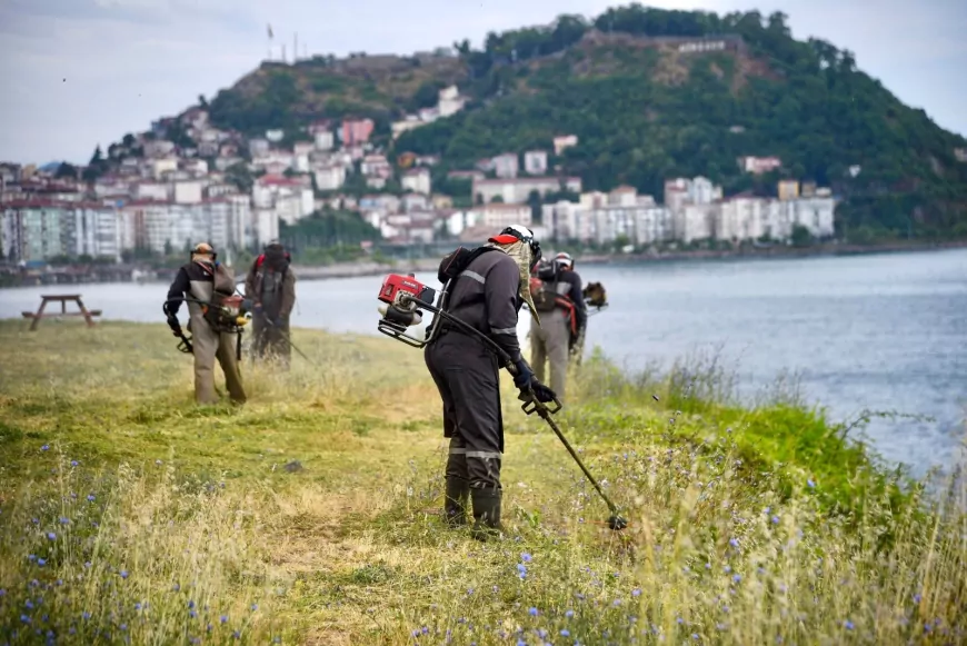 Giresun Belediyesi Sahil Bandında Ot Biçme Çalışmalarını Yoğunlaştırarak Çevre Düzenlemesini Aralıksız Sürdürüyor