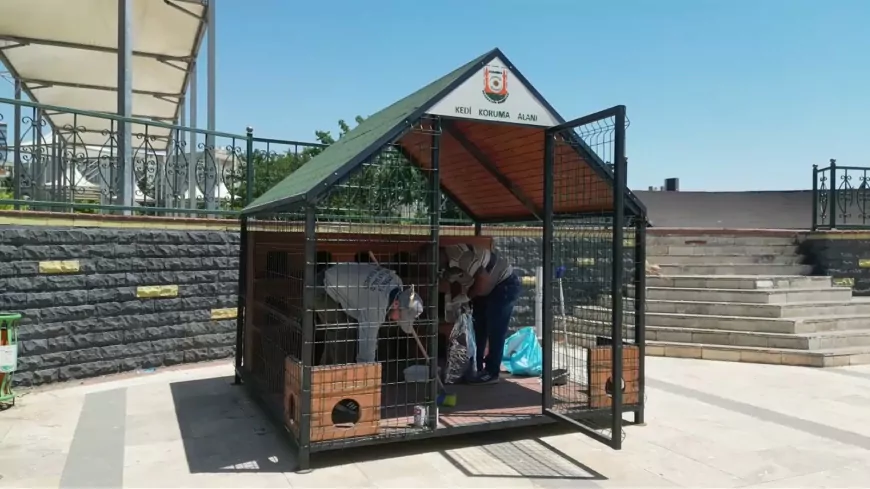Şanlıurfa Büyükşehir Belediyesi sokak kedileri için 11 noktaya 12 kedi evi kurdu, yeni kedi evleriyle proje genişliyor
