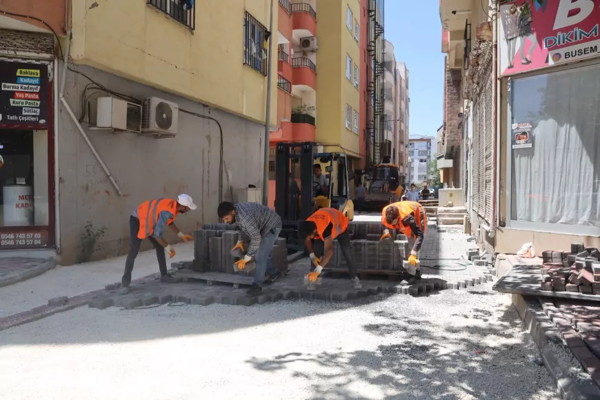 Şanlıurfa Büyükşehir Belediyesi Siverek'te Beton Parke Çalışmalarıyla Yol ve Kaldırımları Yeniliyor