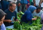 Yayladağı’nda 24’üncü Kültür Sanat ve Aba Güreşi Festivali Kıraç konseriyle başladı