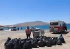 Van Gölü kıyılarında rutin temizlik çalışmaları Mollakasım ve Ayanıs sahillerinde sürüyor