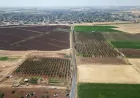 Şanlıurfa Büyükşehir Belediyesi Hilvan’da 10 kilometrelik kırsal yolu yeniliyor