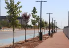 Şanlıurfa’da Buluntu Hoca Bulvarı’ndaki 7 kilometrelik bisiklet yolu projesinde sona gelindi