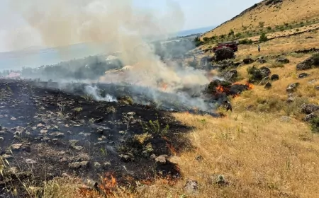 Van Büyükşehir Belediyesi Son 10 Günde Meydana Gelen 239 Yangına Hızla Müdahale Etti