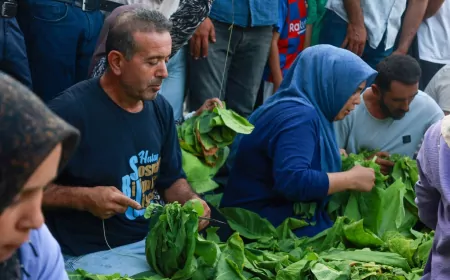 Yayladağı’nda 24’üncü Kültür Sanat ve Aba Güreşi Festivali Kıraç konseriyle başladı