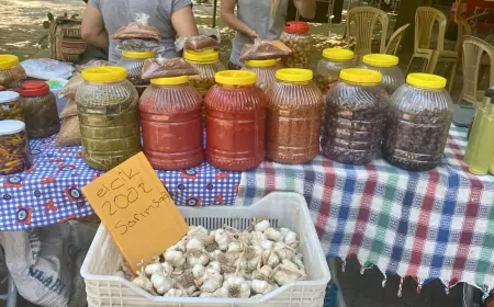 Muğla’da üretici kadınlar Gökbel’de güçlerini birleştirdi, kadın pazarı ilk kez kuruldu