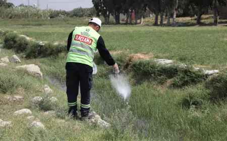 Hatay Büyükşehir Belediyesi Antakya’da zararlı haşerelere karşı ilaçlama çalışmalarını gece gündüz sürdürüyor