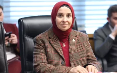 DEVA Partisi Genel Başkan Yardımcısı Elif Esen: “Vatandaşın ücretsiz vize randevusu hakkı karaborsaya düşmemeli”