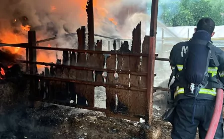 Ula Portakallık Mahallesi’nde saman deposu ve ahırda çıkan yangın ekiplerin müdahalesiyle söndürüldü