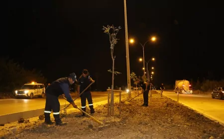Hatay Büyükşehir Belediyesi Topboğazı-Kırıkhan refüjünde peyzaj ve aydınlatma çalışmalarını tamamladı