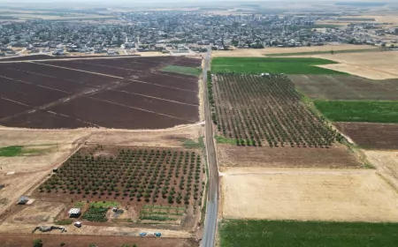 Şanlıurfa Büyükşehir Belediyesi Hilvan’da 10 kilometrelik kırsal yolu yeniliyor