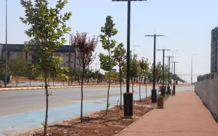Şanlıurfa’da Buluntu Hoca Bulvarı’ndaki 7 kilometrelik bisiklet yolu projesinde sona gelindi
