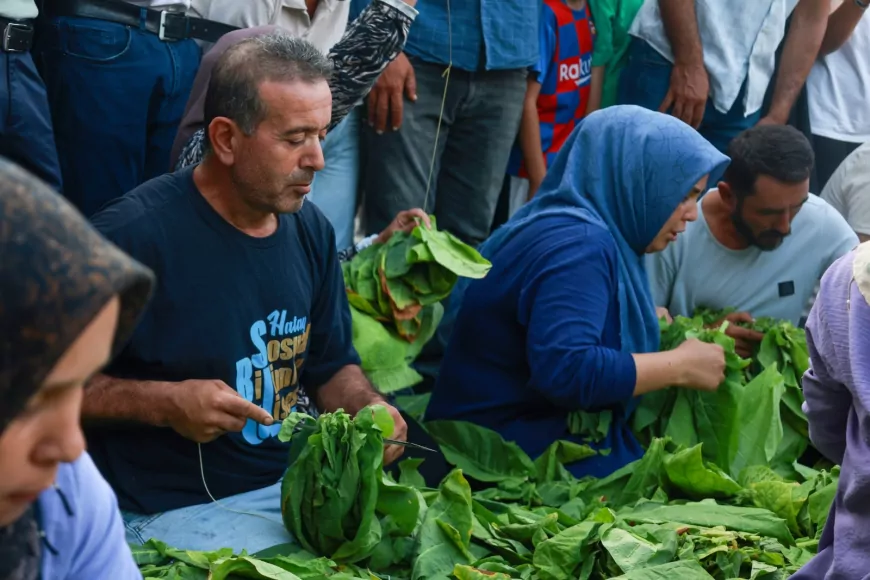 Yayladağı’nda 24’üncü Kültür Sanat ve Aba Güreşi Festivali Kıraç konseriyle başladı