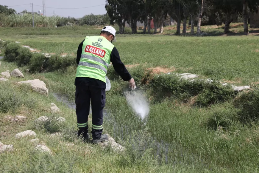 Hatay Büyükşehir Belediyesi Antakya’da zararlı haşerelere karşı ilaçlama çalışmalarını gece gündüz sürdürüyor