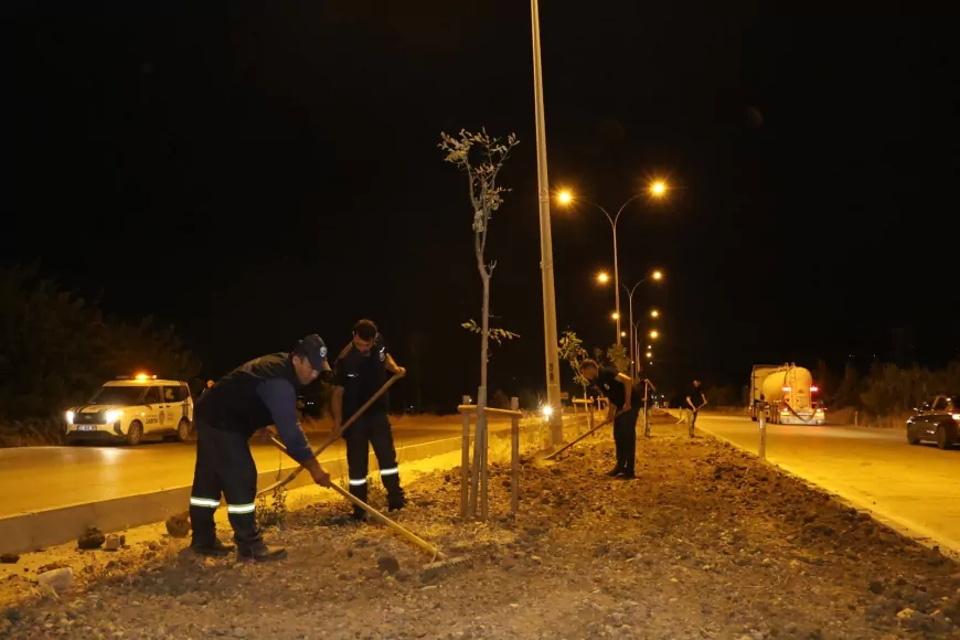 Hatay Büyükşehir Belediyesi Topboğazı-Kırıkhan refüjünde peyzaj ve aydınlatma çalışmalarını tamamladı