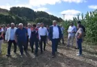 Beykoz’da yerli “Kale” ve “Aga” silajlık mısır çeşitlerinin üretim sonuçları tarlada incelendi