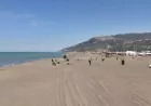 Hatay Büyükşehir Belediyesi Samandağ Sahili’nde nadir türlerin yaşam alanlarını koruyor