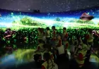 Muğla’da “Mavinin Derinlikleri” 3D gösterimiyle öğrenciler deniz yaşamını 360 derece keşfetti