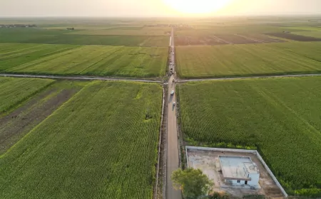 Şanlıurfa Büyükşehir Belediyesi Eyyübiye kırsalında 5 mahalleyi bağlayan 8 kilometrelik yolu sıcak asfaltla buluşturuyor