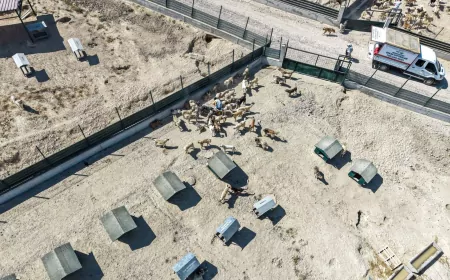 Van Büyükşehir Belediyesi Erciş, Özalp ve Başkale’ye doğal yaşam alanları kazandırıyor