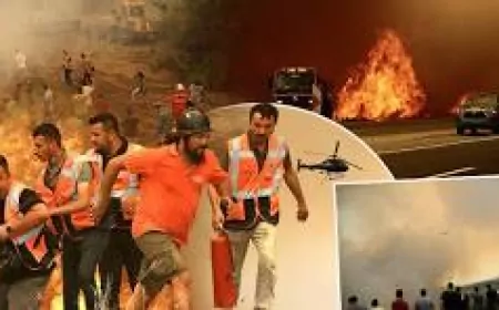 Seydikemer Paşalı Mahallesi’nde yol kenarından zirai alana sıçrayan yangında 5 bin metrekare alan zarar gördü
