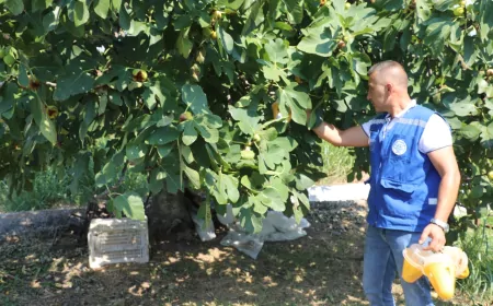 Muğla Büyükşehir Belediye Başkanı Ahmet Aras: “Üreticimizin emeğini ve toprağımızı korumaya devam edeceğiz”