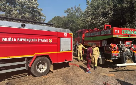Muğla Yaraş’taki Orman Yangınında Hayvanlar İçin Acil Müdahale Aracı Sahaya Sevk Edildi