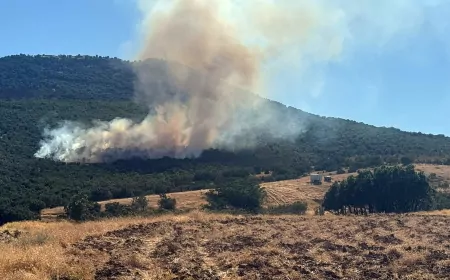 Eskişehir Mihalıççık’ta orman yangını: Yayla Mahallesi yakınlarına iki söndürme helikopteri sevk edildi