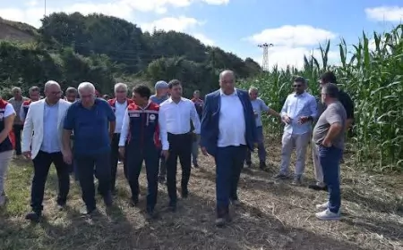 Beykoz’da yerli “Kale” ve “Aga” silajlık mısır çeşitlerinin üretim sonuçları tarlada incelendi